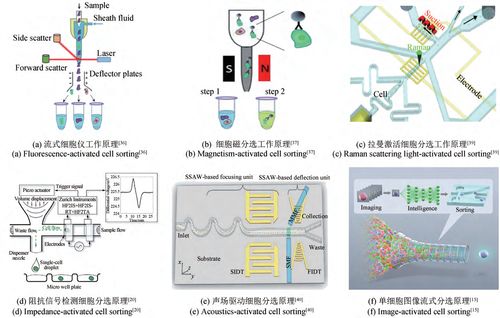 合成生物學 生物制造引領制造業(yè)的未來