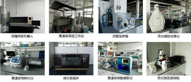 生物技術開發(fā)與化學工程技術服務平臺的融合創(chuàng)新